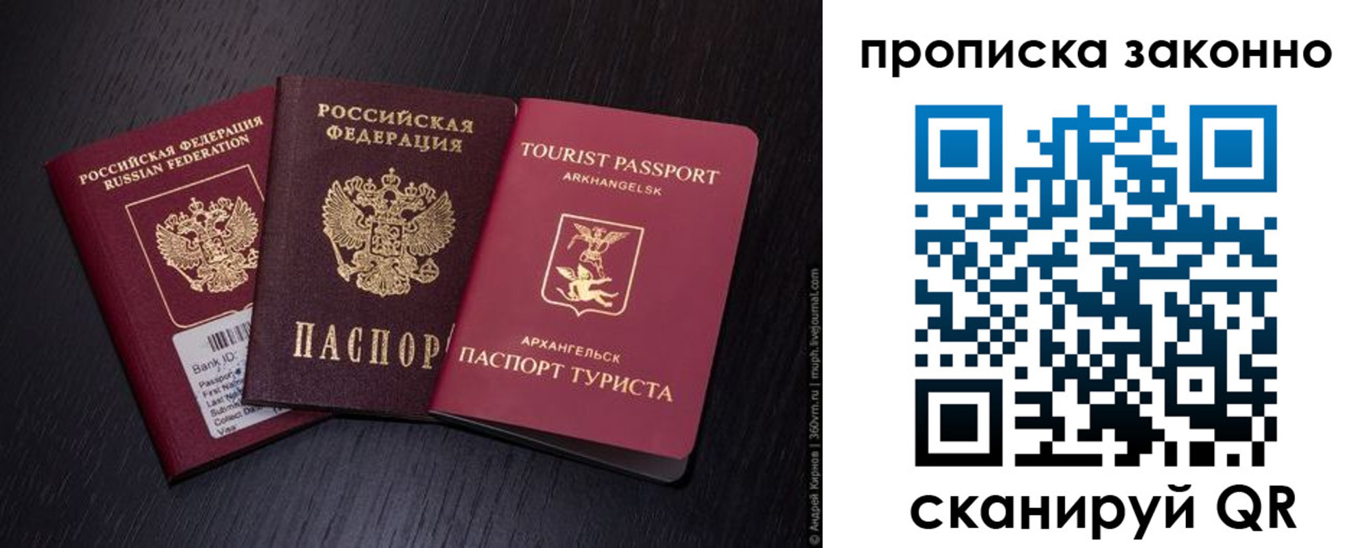 прописка штамп в Борзе